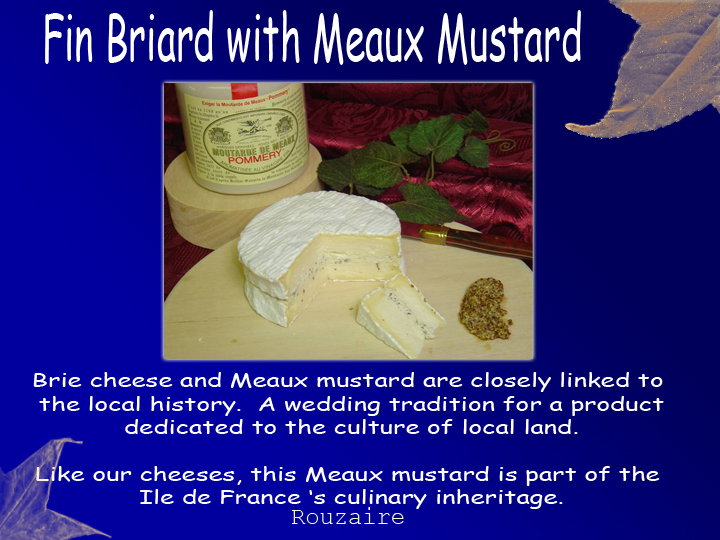 Fin Briard Mustard